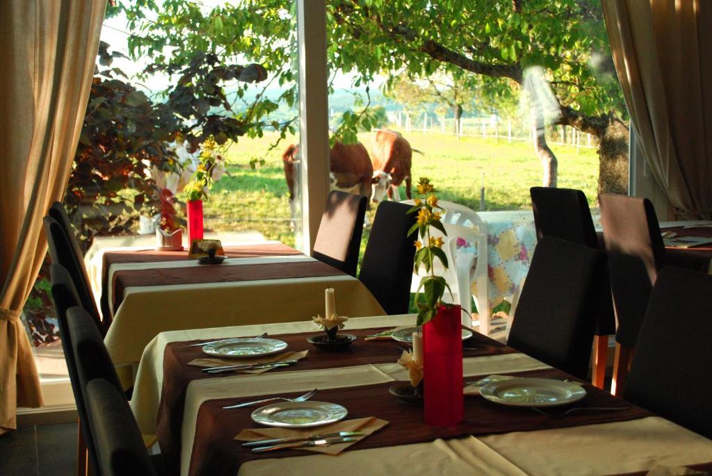 Wellnesshotel Schiesselhof Ґрафенгаузен Номер фото